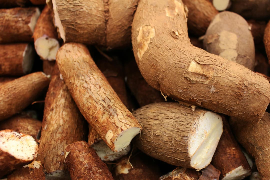 Cassava Flour