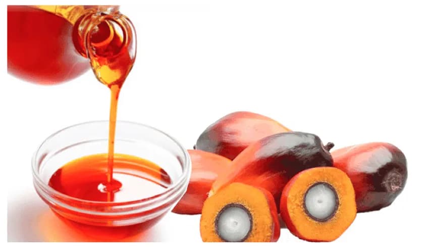 The Ultimate Guide to Identifying Pure Palm Oil