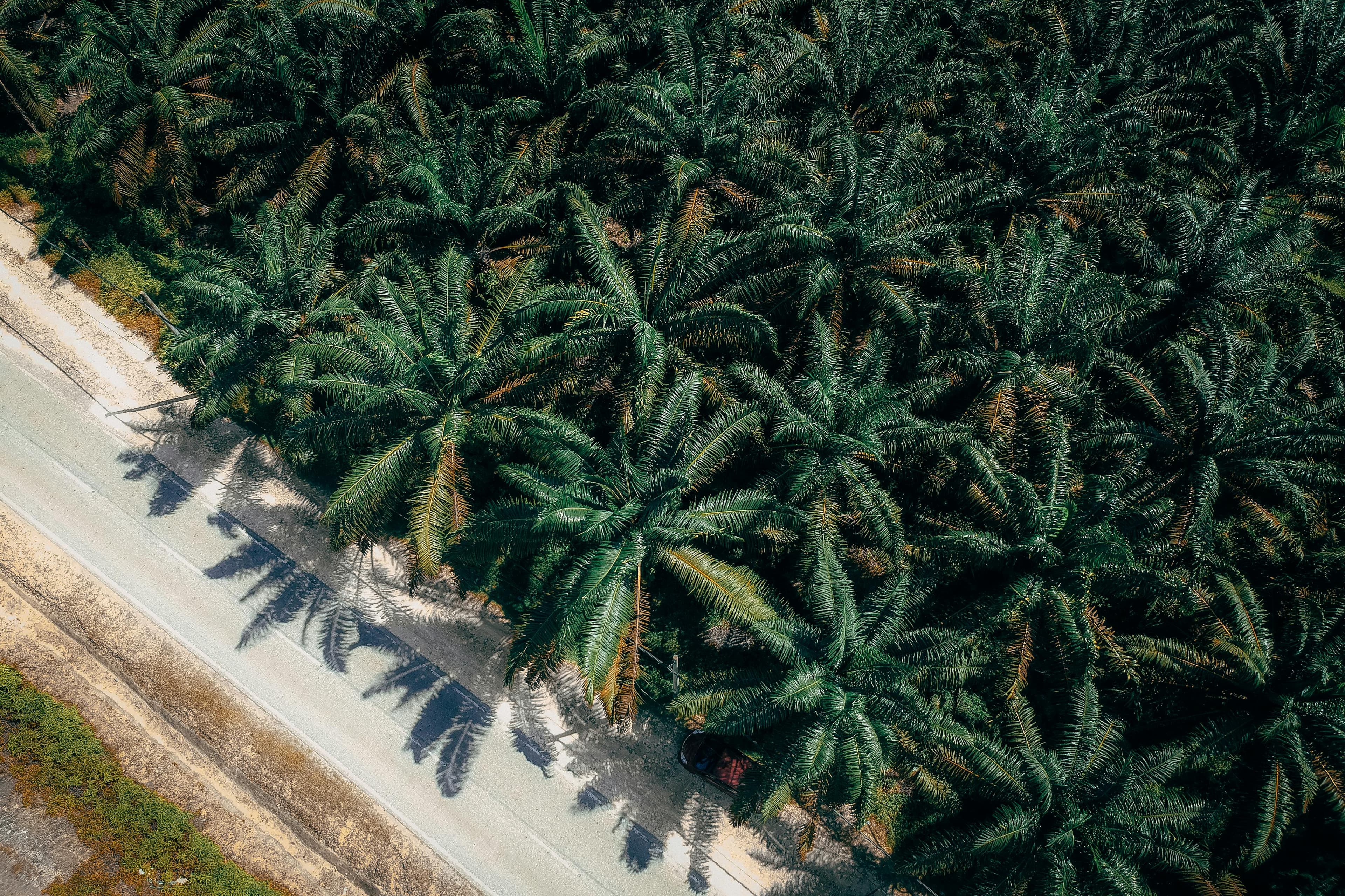 About UFARM Nigeria