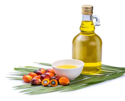 Refined Palm Oil